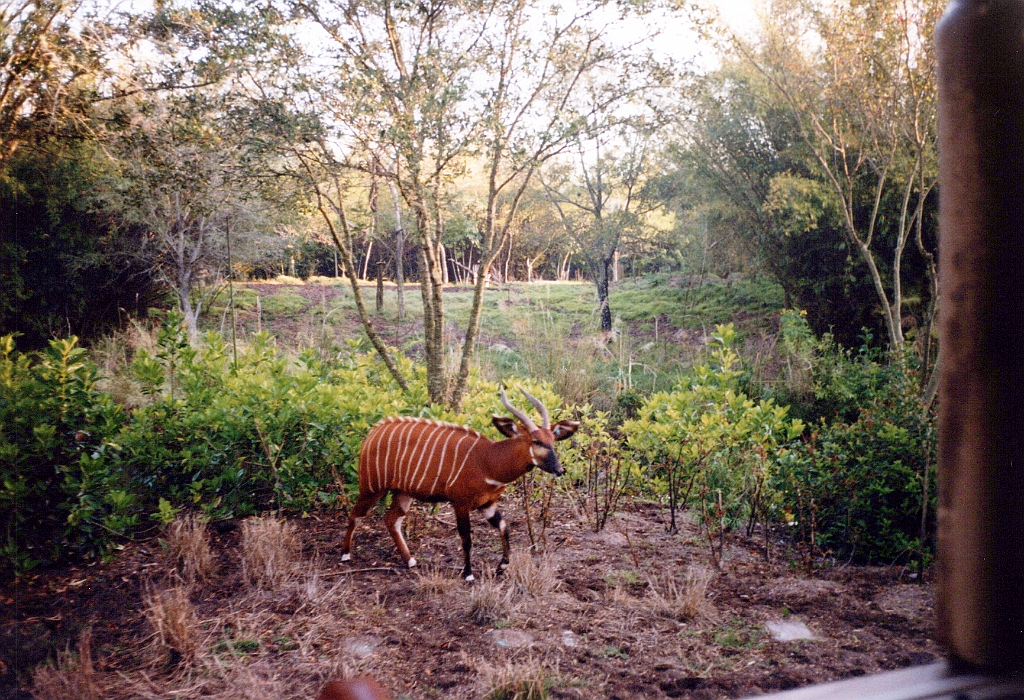 1999 - Floride 05.jpg